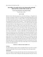 Ảnh hưởng của nguồn thức ăn thô trong khẩu phần đến năng suất bò lai sind vỗ béo tại Đắc Lắk