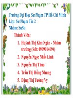 BÀI BÁO CÁO THẢO LUẬN-PHÂN TÍCH CHỦ NGHĨA TƯ BẢN ĐỘC QUYỀN VÀ Ý NGHĨA NGHIÊN CỨU