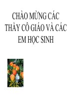 Dẫn xuất halogen của hidrocacbon - GVG Bắc Ninh