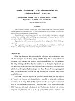 Nghiên cứu chọn tạo 1 dòng gà hướng trứng (ra) có năng suất chất lượng cao