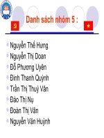duong loi cach mang DCSVN