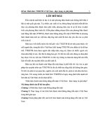 BÀI BÁO CÁO THỰC TẬP-ĐỀ ÁN HÌNH THỨC TTKDTM Ở VIỆT NAM-THỰC TRẠNG VÀ GIẢI PHÁP