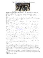 Văn hóa Nhật Bản