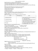 ôn tập phần tiếng Việt HKII