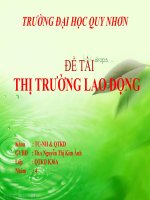 TRƯỜNG ĐH QUY NHƠN-ĐỀ TÀI-THỊ TRƯỜNG LAO ĐỘNG