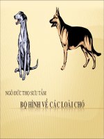 bo hinh dung de thiet ke 2