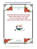 ĐỔI MỚI PHƯƠNG PHÁP DẠY HỌC  PHÂN MÔN TIẾNG VIỆT LỚP 2  TUẦN 35 CHI TIẾT, CỤ THỂ    THEO CHUẨN KIẾN THỨC KĨ NĂNG.
