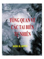 BÀI BÁO CÁO ĐỀ TÀI TỔNG QUAN VỀ CÁC TAI BIẾN TỰ NHIÊN