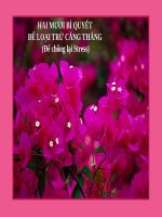 20 loi khuyen cho ban bot cang thang khi lam viec