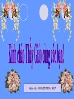 giao an hinh 6(thi giang)