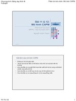 GIÁO TRÌNH GIẢNG DẠY KINH TẾ-Phân tích tài chính Mô hình CAPM