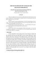Đánh giá khả năng sản xuất và hiệu quả chăn nuôi gà sao trong nông hộ