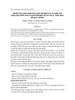 Nghiên cứu công nghệ bảo quản chế biến thịt vịt được ướp bằng dịch chiết suất và chế phảm một số cây gia vị, thảo dược để quay, nướng