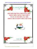 ĐỔI MỚI PHƯƠNG PHÁP DẠY HỌC  PHÂN MÔN TIẾNG VIỆT LỚP 4  TUẦN 15 CHI TIẾT, CỤ THỂ    THEO CHUẨN KIẾN THỨC KĨ NĂNG.