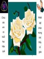 Luyện tập hidrocacbon thơm