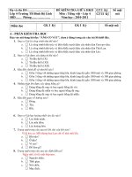 DE THI CUOI HKII MON TIENG VIET LÓP4