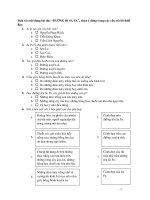 ON TAP TRAC NGHIEM TIENG VIET L4 HKII