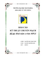 BÁO CÁO Đề tài Khái niệm cơ bản MPLS