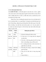 TỔNG QUAN VỀ KINH TẾ HỌC VI MÔ