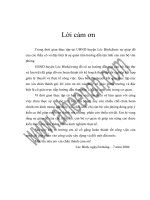 luận văn lưu trữ học Công tác văn thư lưu trữ ở UBND Huyện Lộc Bình