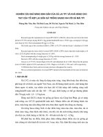 Nghiên cứu khả năng sinh sản của gà lai TP1 và khả năng cho thịt của tổ hợp giữa gà trống Sasso X44 với gà mái TP1