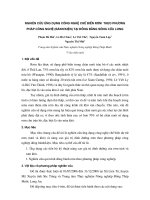 Nghiên cứu ứng dụng công nghệ chế biến rơm theo phương pháp công nghệ (bánh kiện ) tại đồng bằng sông Cửu Long