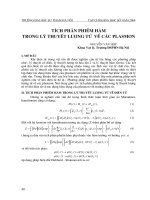 Tích phân phiếm hàm trong lý thuyết lợng tử về các plasmon