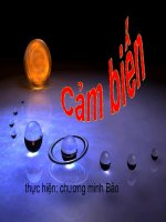 ĐO LƯỜNG CẢM BIẾN