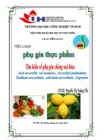 TIỂU LUẬN PHỤ GIA THỰC PHẨM-PHỤ GIA CHỐNG OXI HÓA