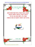 ĐỔI MỚI PHƯƠNG PHÁP DẠY HỌC  PHÂN MÔN TIẾNG VIỆT LỚP 4  TUẦN 10 CHI TIẾT, CỤ THỂ   THEO CHUẨN KIẾN THỨC KĨ NĂNG.