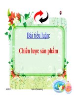 BÀI TIỂU LUẬN-CHIẾN LƯỢC SẢN PHẨM