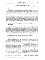 Âm nhạc dân gian Chăm