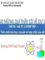 Luyện tập Fe và hợp chất - GVG Bắc Ninh