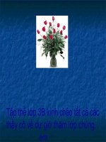 giáo án tập đọc lớp 3