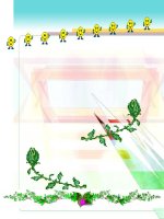 bài 23 Đối lưu - bức xạ nhiệt