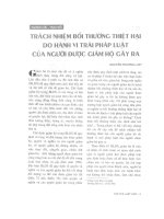 Trách nhiệm bồi thường thiệt hại do hành vi trái pháp luật của người được giám hộ gây ra