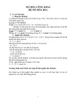 TIỂU LUẬN TOÁN-MÃ HÓA CÔNG KHAI HỆ MÃ HÓA RSA