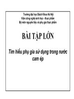 BÀI TẬP LỚN tìm hiểu phụ gia sử dụng trong nước cam ép