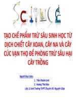 TẠO CHẾ PHẨM TRỪ SÂU SINH HỌC TỪ DỊCH CHIẾT CÂY XOAN, CÂY NA VÀ CÂY CÚC VẠN THỌ ĐỂ PHÒNG TRỪ SÂU HẠI CÂY TRỒNG