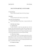 BÁO CÁO THỰC TẬP TẠI CÔNG TY VINAPAY-LUẬN VĂN ĐỒ ÁN TỐT NGHIỆP TẠI TÒA NHÀ HAREE,4A