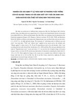 Nghiên cứu xác định tỷ lệ thích hợp và phương thức trồng cây  cỏ họ đậu trong cơ cấu sản xuất cây thức ăn xanh cho chăn nuôi bò sữa ở một số vùng sinh thái khác nhau