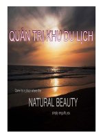 BÀI BÁO CÁO-QUẢN TRỊ KHU DU LỊCH