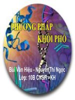 BÁO CÁO TIỂU LUẬN-PHƯƠNG PHÁP KHỐI PHỔ