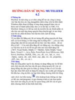 BÁO CÁO THỰC TẬP-HƯỚNG DẪN SỬ DỤNG MUTILIZER 6.2