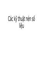 BÀI BÁO CÁO-Các kỹ thuật nén số liệu