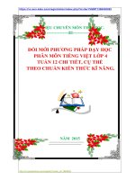 ĐỔI MỚI PHƯƠNG PHÁP DẠY HỌC  PHÂN MÔN TIẾNG VIỆT LỚP 4  TUẦN 12 CHI TIẾT, CỤ THỂ    THEO CHUẨN KIẾN THỨC KĨ NĂNG.