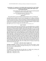 ẢNH HƯỞNG CỦA KHOẢNG CÁCH TRỒNG ĐẾN SINH TRƯỞNG, PHÁT TRIỂN VÀ NĂNG SUẤT CỦA CỎ PASPALUM ATRATUMTRONG ĐIỀU KIỆN NGẬP NGOÀI ĐỒNG RUỘNG