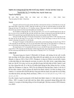 Nghiên cứu sử dụng bột gấc làm thức ăn bổ sung vitamin A cho lợn nái chửa và lợn con