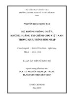 Hệ thống phòng ngừa khủng hoảng tài chính cho Việt Nam trong quá trình hội nhập