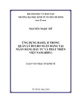 Ứng dụng Basel II trong quản lý rủi ro ngân hàng tại ngân hàng đầu tư và phát triển Việt Nam (BIDV)  Luận văn thạc sĩ